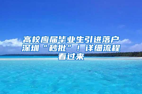 高校应届毕业生引进落户深圳“秒批”！详细流程看过来