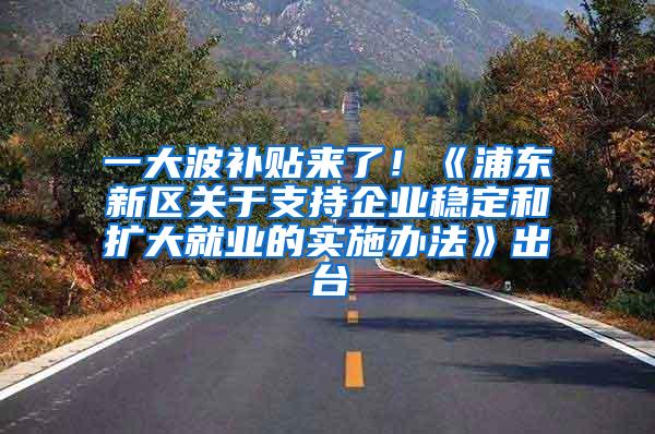 一大波补贴来了！《浦东新区关于支持企业稳定和扩大就业的实施办法》出台