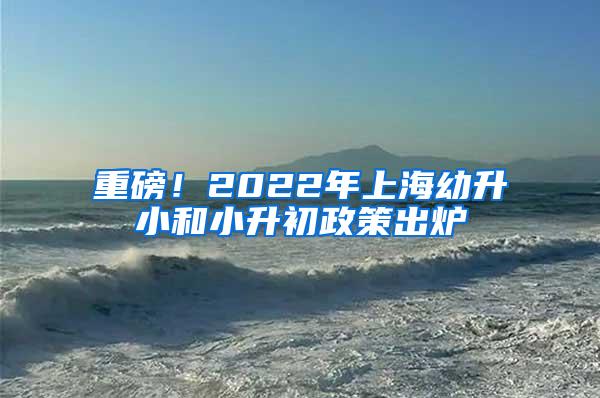 重磅！2022年上海幼升小和小升初政策出炉