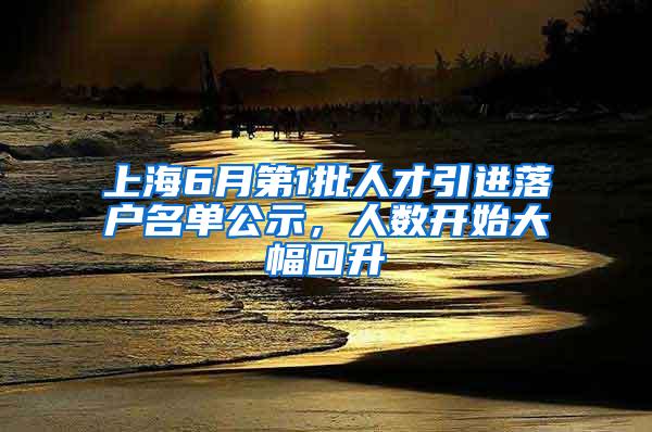 上海6月第1批人才引进落户名单公示，人数开始大幅回升