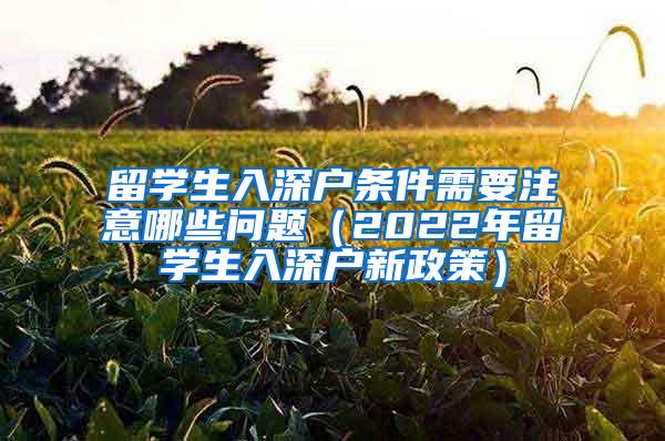 留学生入深户条件需要注意哪些问题（2022年留学生入深户新政策）