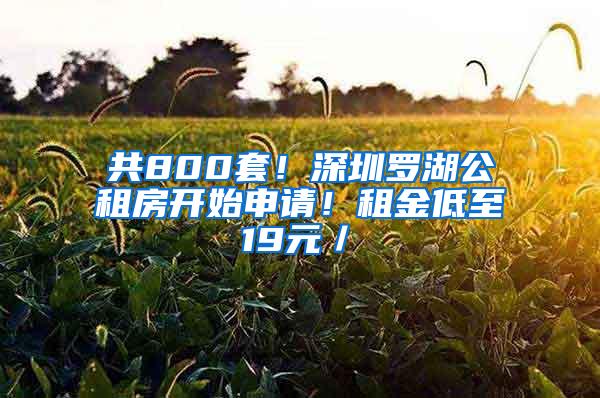 共800套！深圳罗湖公租房开始申请！租金低至19元／㎡