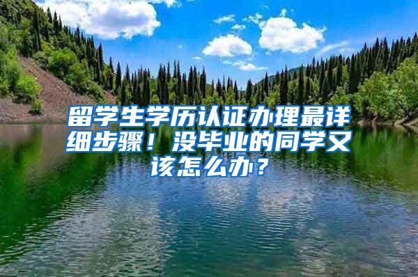 留学生学历认证办理最详细步骤！没毕业的同学又该怎么办？