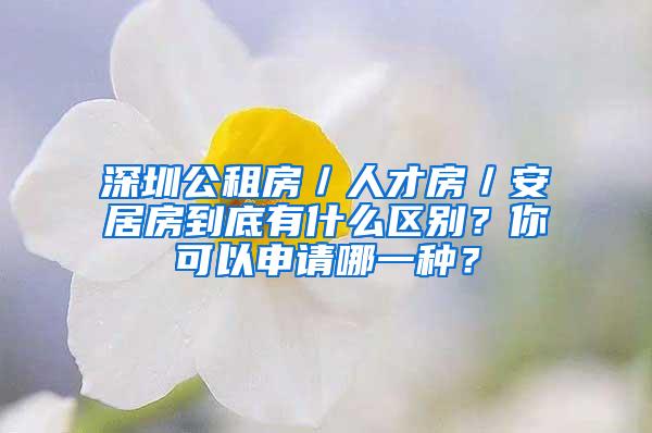 深圳公租房／人才房／安居房到底有什么区别？你可以申请哪一种？