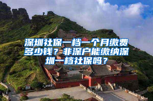 深圳社保一档一个月缴费多少钱？非深户能缴纳深圳一档社保吗？