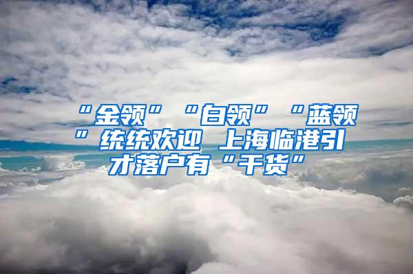 “金领”“白领”“蓝领”统统欢迎 上海临港引才落户有“干货”