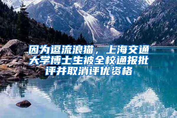 因为逗流浪猫，上海交通大学博士生被全校通报批评并取消评优资格