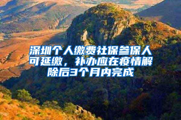 深圳个人缴费社保参保人可延缴，补办应在疫情解除后3个月内完成