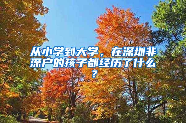 从小学到大学，在深圳非深户的孩子都经历了什么？