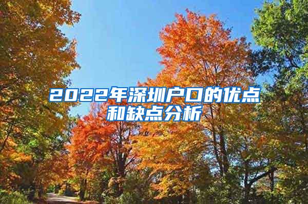 2022年深圳户口的优点和缺点分析