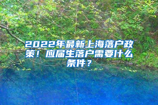 2022年最新上海落户政策！应届生落户需要什么条件？