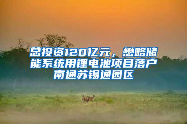 总投资120亿元，懋略储能系统用锂电池项目落户南通苏锡通园区