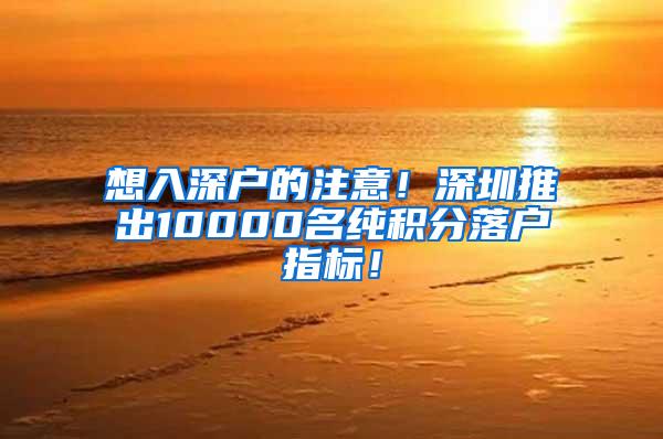 想入深户的注意！深圳推出10000名纯积分落户指标！