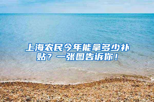 上海农民今年能拿多少补贴？一张图告诉你！