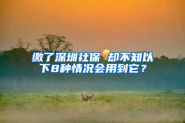 缴了深圳社保 却不知以下8种情况会用到它？