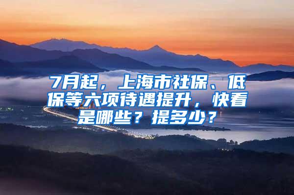 7月起，上海市社保、低保等六项待遇提升，快看是哪些？提多少？