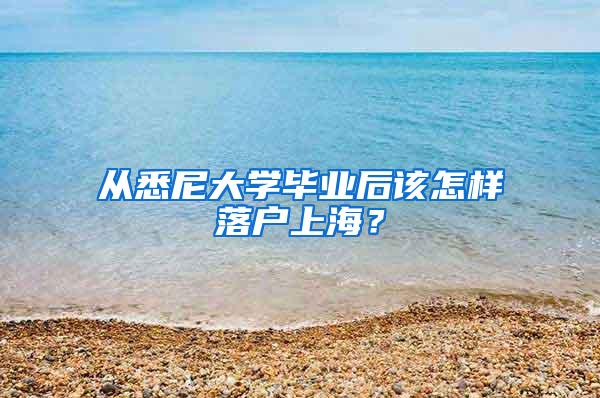 从悉尼大学毕业后该怎样落户上海？