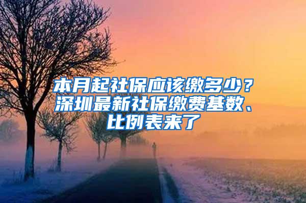 本月起社保应该缴多少？深圳最新社保缴费基数、比例表来了