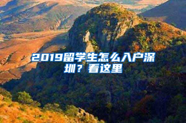 2019留学生怎么入户深圳？看这里