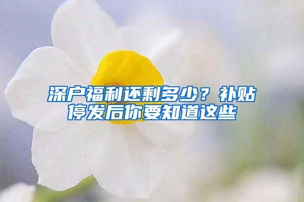 深户福利还剩多少？补贴停发后你要知道这些