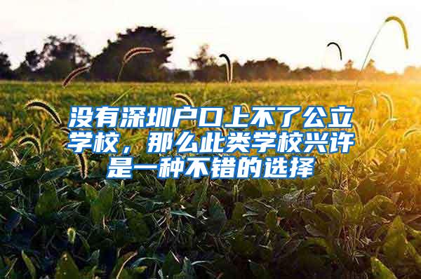 没有深圳户口上不了公立学校，那么此类学校兴许是一种不错的选择