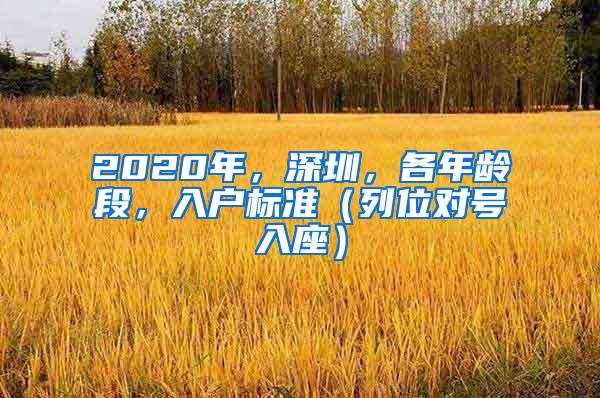 2020年，深圳，各年龄段，入户标准（列位对号入座）