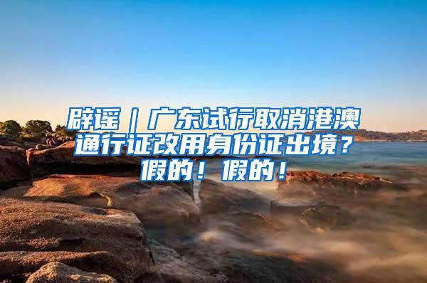 辟谣｜广东试行取消港澳通行证改用身份证出境？假的！假的！