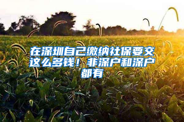 在深圳自己缴纳社保要交这么多钱！非深户和深户都有