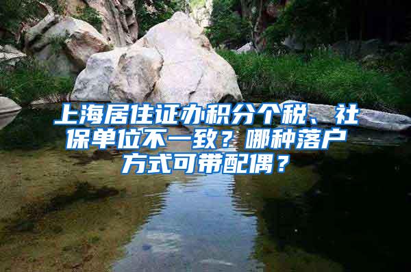 上海居住证办积分个税、社保单位不一致？哪种落户方式可带配偶？