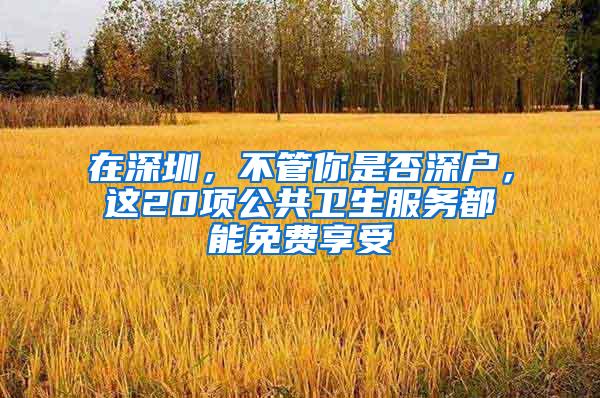 在深圳，不管你是否深户，这20项公共卫生服务都能免费享受