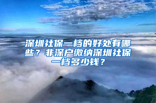 深圳社保一档的好处有哪些？非深户缴纳深圳社保一档多少钱？