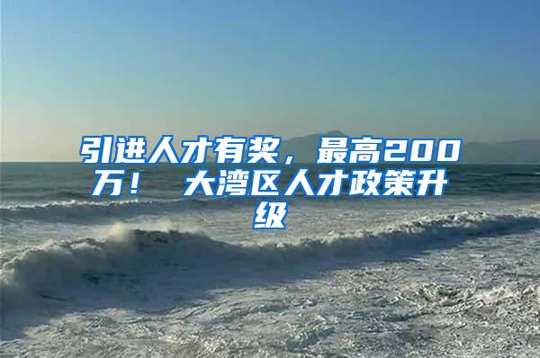 引进人才有奖，最高200万！ 大湾区人才政策升级