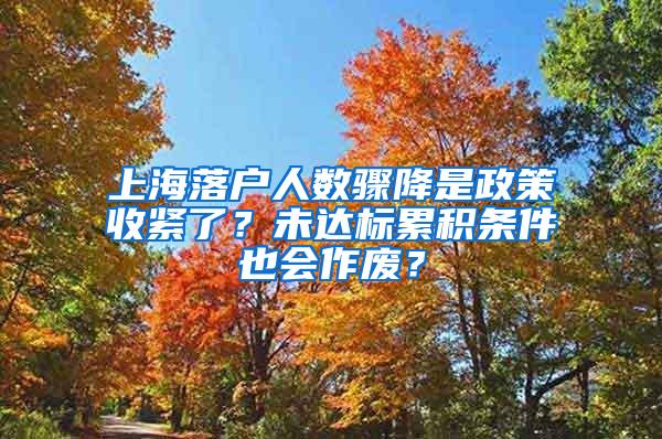 上海落户人数骤降是政策收紧了？未达标累积条件也会作废？