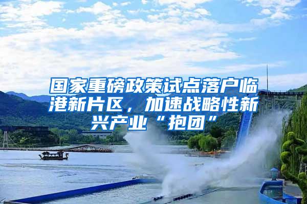 国家重磅政策试点落户临港新片区，加速战略性新兴产业“抱团”