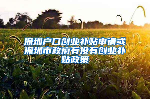 深圳户口创业补贴申请或深圳市政府有没有创业补贴政策