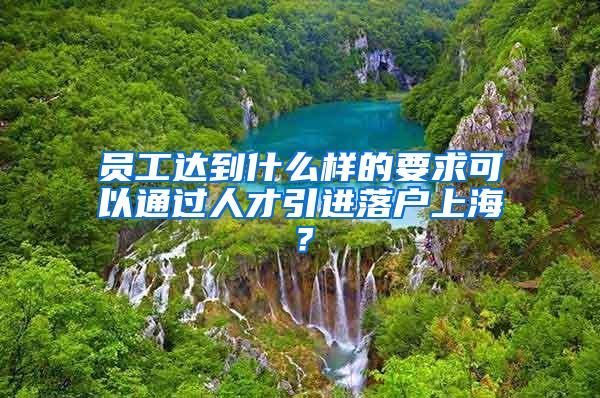 员工达到什么样的要求可以通过人才引进落户上海？