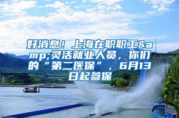 好消息！上海在职职工&灵活就业人员，你们的“第二医保”，6月13日起参保