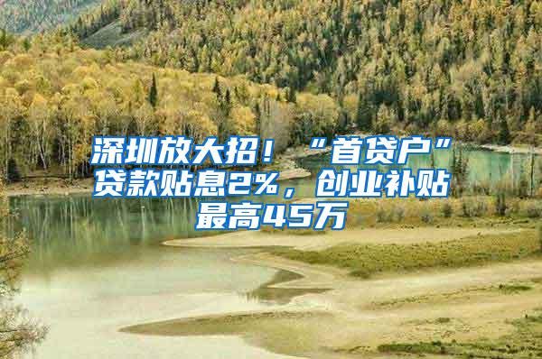 深圳放大招！“首贷户”贷款贴息2%，创业补贴最高45万