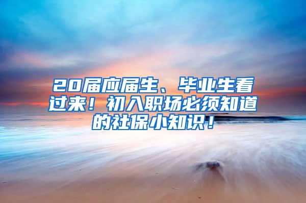 20届应届生、毕业生看过来！初入职场必须知道的社保小知识！