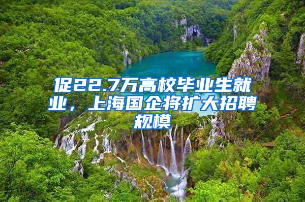 促22.7万高校毕业生就业，上海国企将扩大招聘规模