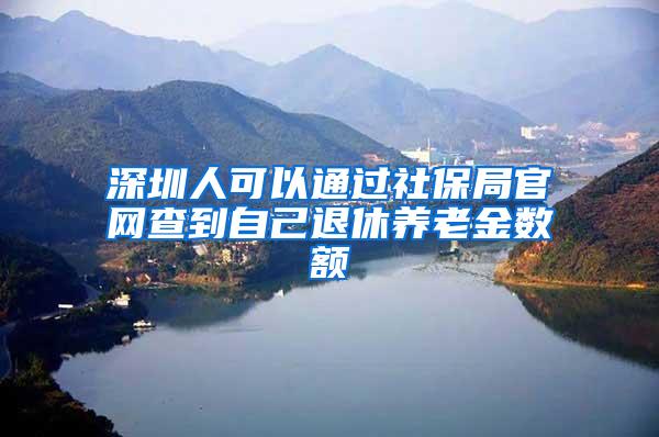 深圳人可以通过社保局官网查到自己退休养老金数额