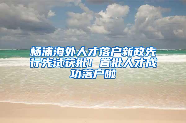 杨浦海外人才落户新政先行先试获批！首批人才成功落户啦