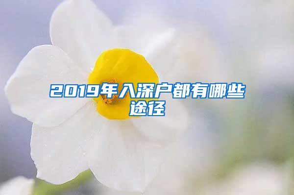 2019年入深户都有哪些途径