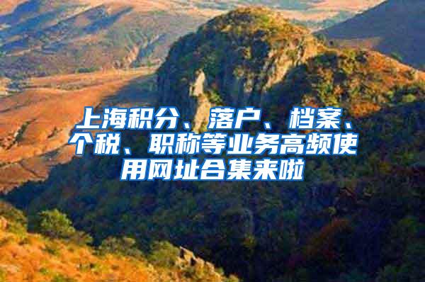 上海积分、落户、档案、个税、职称等业务高频使用网址合集来啦