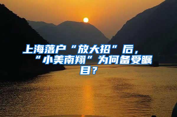 上海落户“放大招”后，“小美南翔”为何备受瞩目？