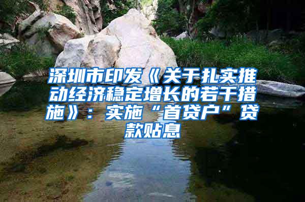 深圳市印发《关于扎实推动经济稳定增长的若干措施》：实施“首贷户”贷款贴息