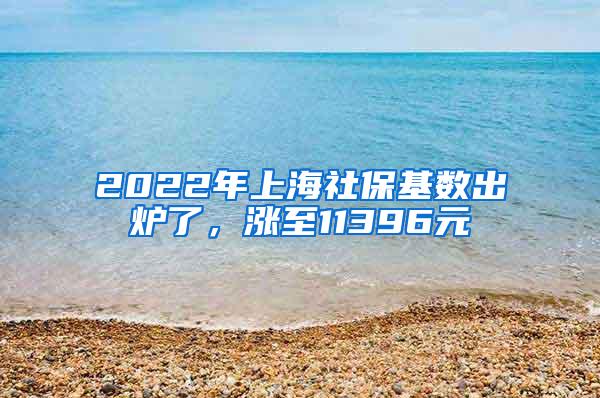 2022年上海社保基数出炉了，涨至11396元