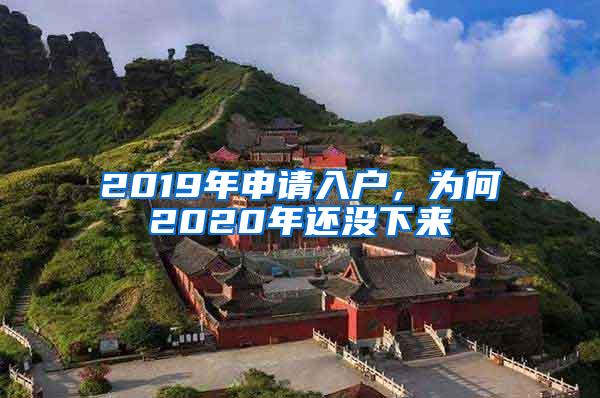 2019年申请入户，为何2020年还没下来