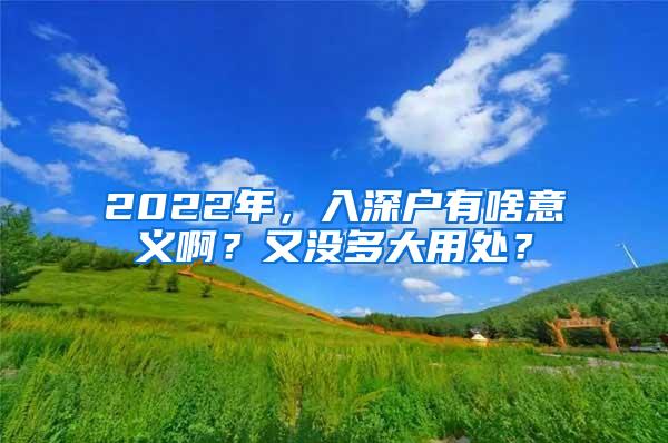 2022年，入深户有啥意义啊？又没多大用处？