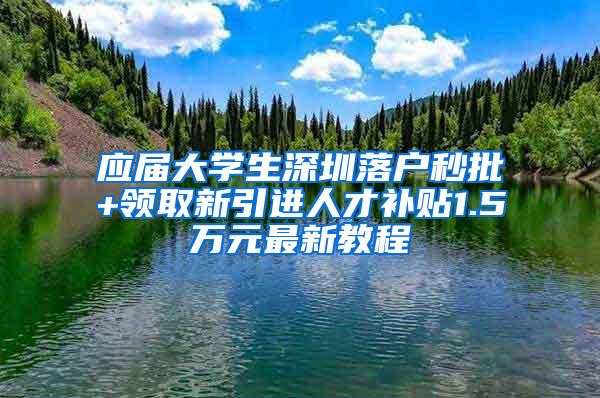 应届大学生深圳落户秒批+领取新引进人才补贴1.5万元最新教程